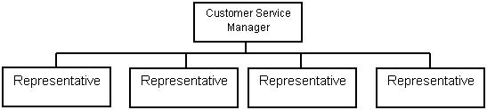 Costumer Service Manager